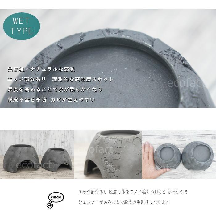 シェルター レオパ ウェットシェルター ブラック Mサイズ 黒無釉