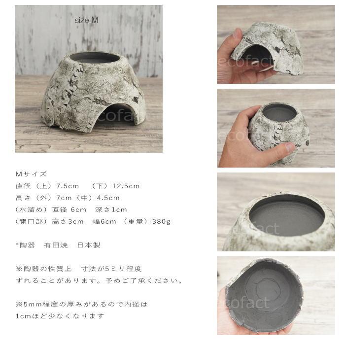 シェルター レオパ ウェットシェルター ホワイト Mサイズ 白釉薬