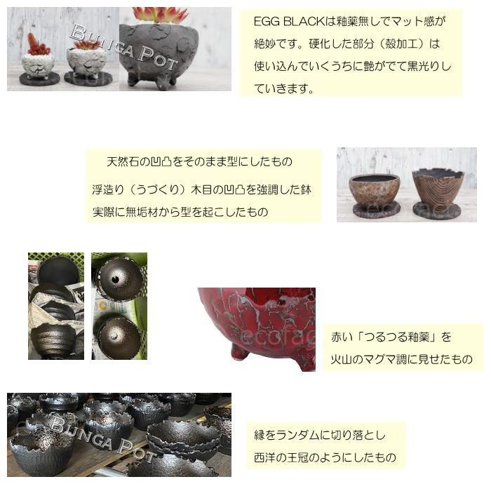 シェルター レオパ ウェットシェルター ブラック Lサイズ 黒無釉