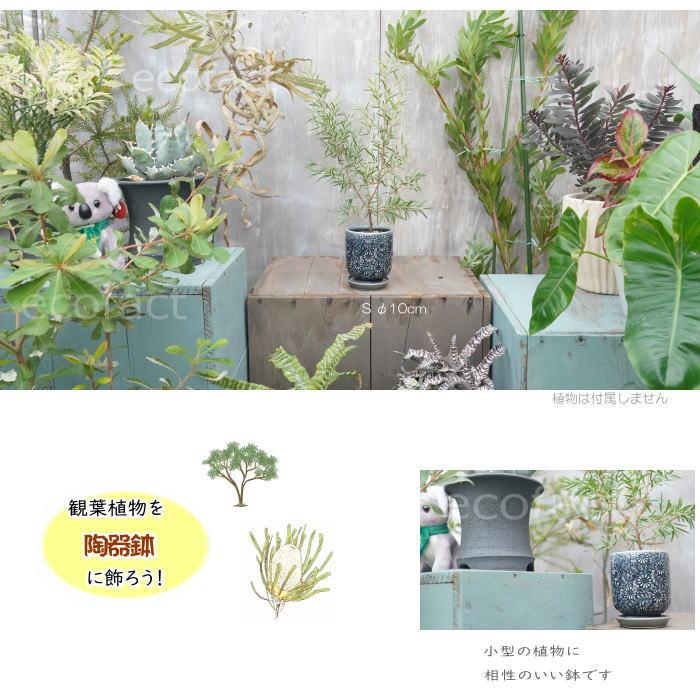 植木鉢 おしゃれ 陶器鉢 フラワーポット ミニポット 底穴あり