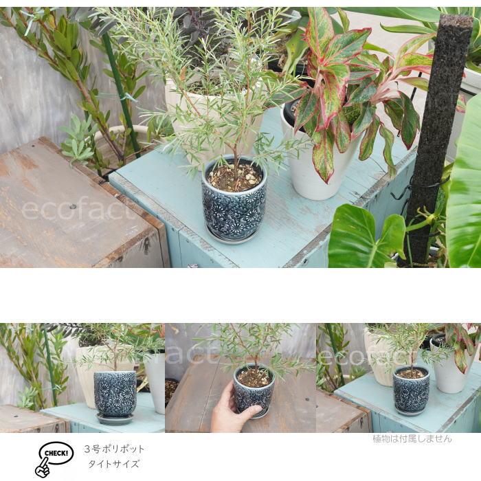 小渡鉢受け皿付き輪郭 植木鉢 おしゃれ 陶器鉢 フラワーポット ミニポット 底穴あり