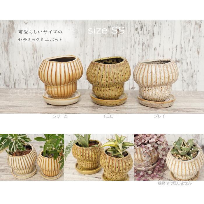 植木鉢 おしゃれ 陶器鉢 フラワーポット ミニポット 底穴あり