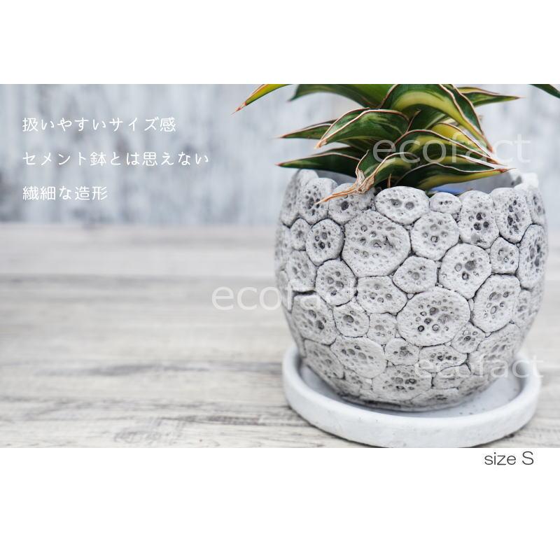 鉢　特殊なオリジナル鉢 ポット 鉢 植木鉢 プランター おしゃれ セメント鉢 φ12cm ディノエッグ
