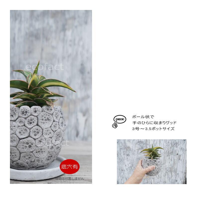 ポット 鉢 植木鉢 プランター おしゃれ セメント鉢 φ12cm ディノエッグ