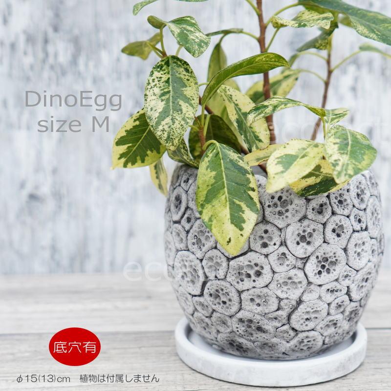 ポット 鉢 植木鉢 プランター おしゃれ セメント鉢 φ15cm ディノエッグ