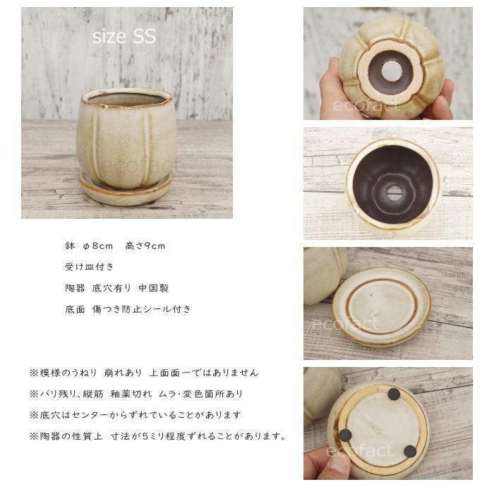 植木鉢 おしゃれ 陶器鉢 フラワーポット ミニポット 底穴あり