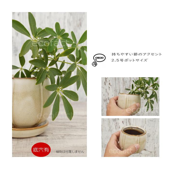 植木鉢 おしゃれ 陶器鉢 フラワーポット ミニポット 底穴あり
