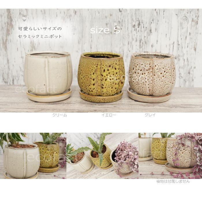植木鉢 おしゃれ 陶器鉢 フラワーポット ミニポット 底穴あり