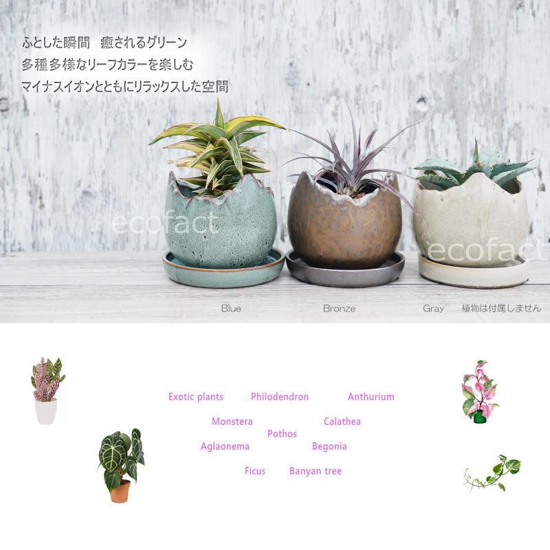 ポット 鉢 植木鉢 プランター おしゃれ 陶器 φ12cm Solmero S ブロンズ