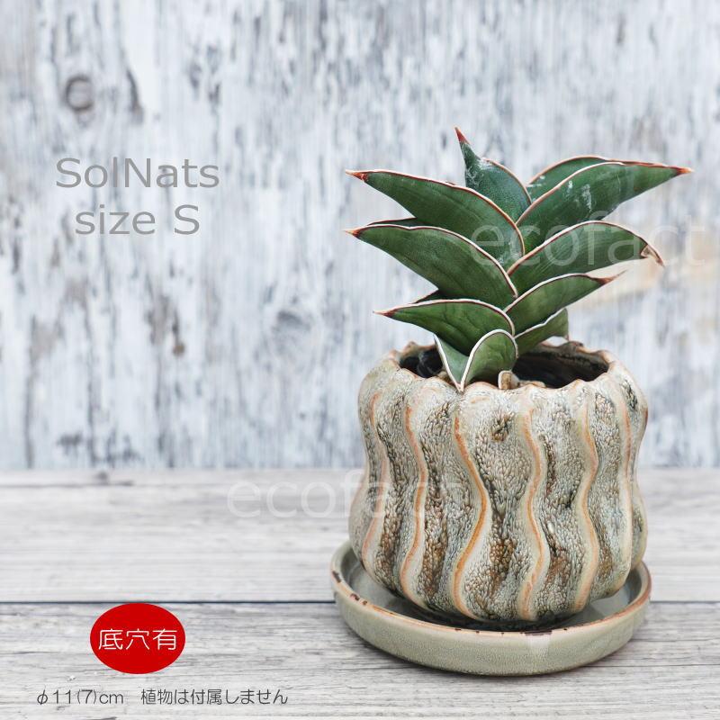 ポット 鉢 植木鉢 プランター おしゃれ 陶器 φ11cm Solnats S グレー