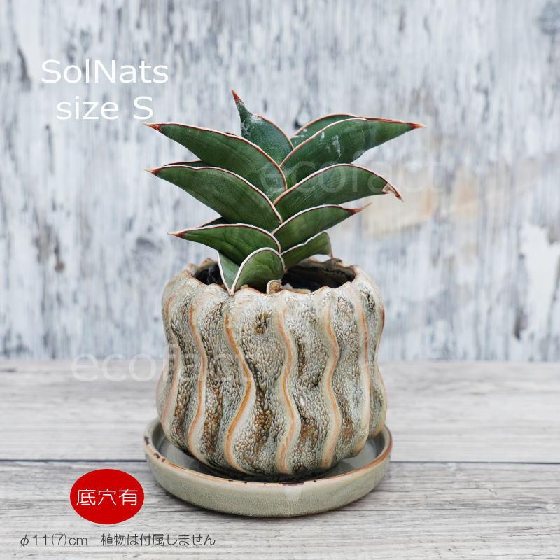 ポット 鉢 植木鉢 プランター おしゃれ 陶器 φ11cm Solnats S グレー