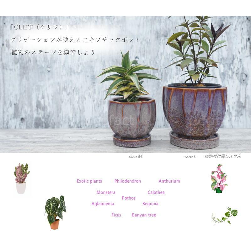 ポット 鉢 植木鉢 プランター おしゃれ 陶器鉢 Sol Cliff L φ14.5