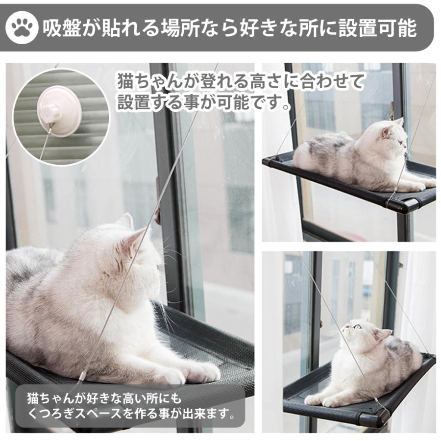 いつでも送料無料 バナナ猫様専用♡ぶちゃかわぶーちゃん♡ご予約