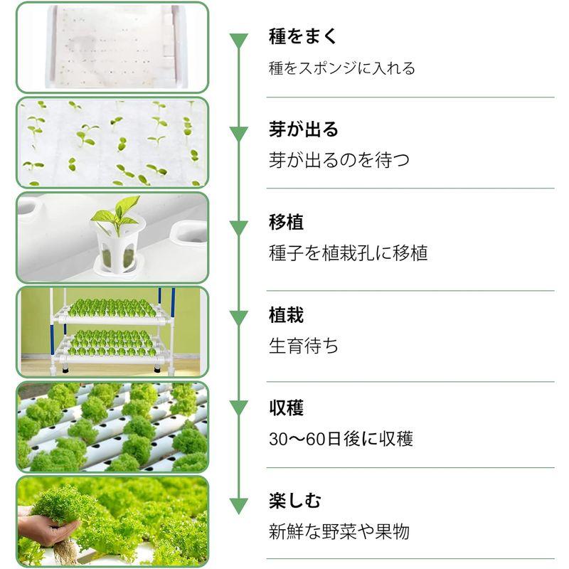 2023進化版LAPOND 水耕栽培システム 4列3層 食品級PVC-U管水耕栽培キット 108穴 水耕栽培植物用 無土壌栽培 セット 自動 水耕栽培システム 4列3層 食品級PVC U管水耕栽培キット 108穴 水耕栽培植物用 無土壌栽培 セット 自動