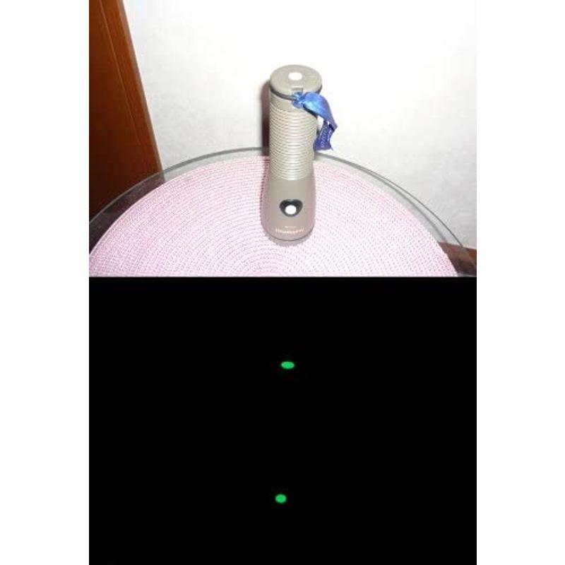 LTI　『防災対策』　高輝度　蓄光テープ　SUPER　α-FLASH(25mm幅×5m)　SAF2505