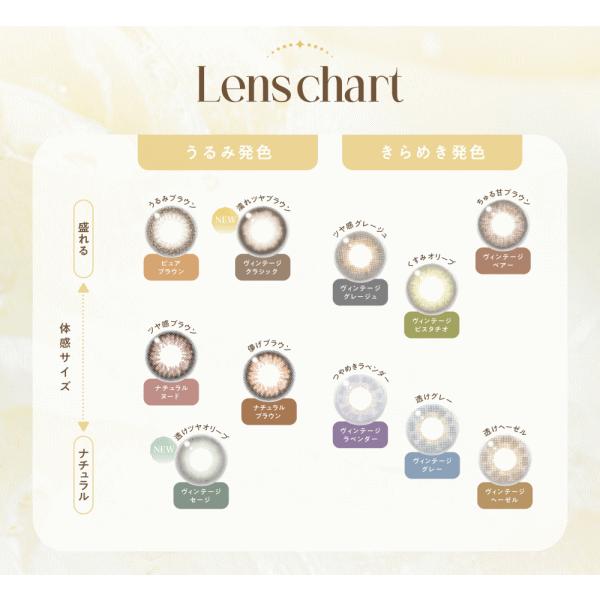 エンジェルカラーワンデー バンビ ヴィンテージ 10枚入 益若つばさ 度あり 度なし T-garden | Angelcolor | 12