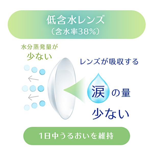 2ウィークリフレアUV 2週間使い捨てコンタクト コンタクトレンズ フロムアイズ UVカット 　 | ツーウィークリフレア | 02