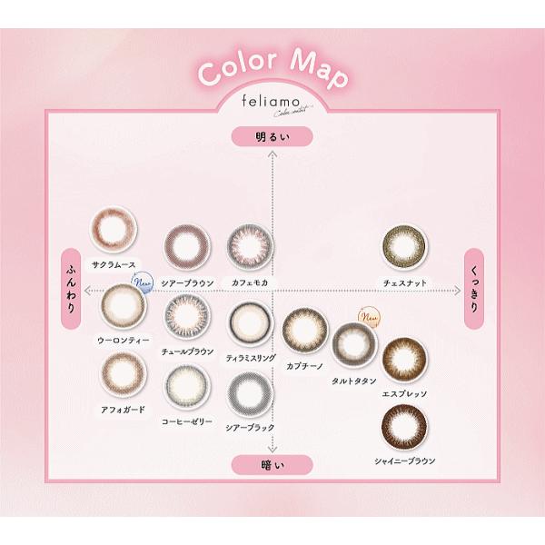 feliamo フェリアモ 白石麻衣 ワンデー カラコン コンタクトレンズ 10枚入り PIA | feliamo | 15