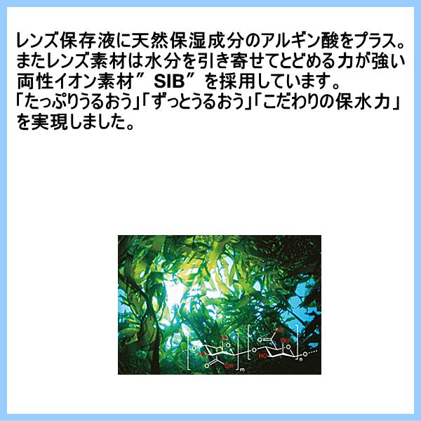 2ウィークピュアうるおいプラス シード seed 2週間使い捨て 6枚入り | ピュア | 01