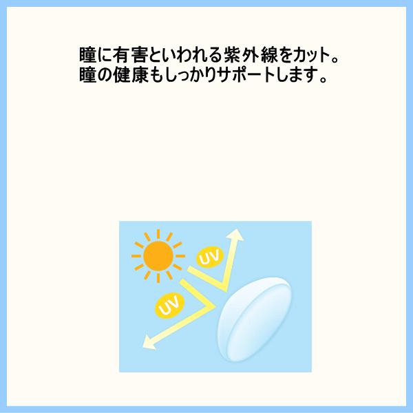 2ウィークピュアうるおいプラス シード seed 2週間使い捨て 6枚入り | ピュア | 04