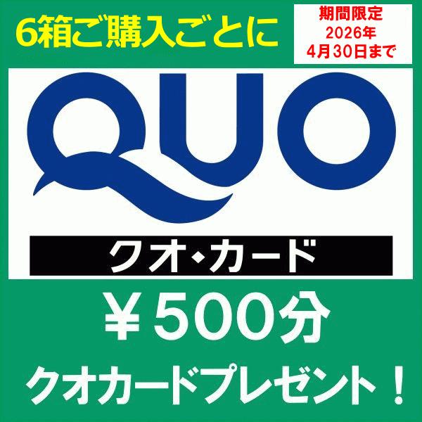 コンタクトレンズ エルコンワンデー55 シンシア 35枚入り ワンデー 期間限定４月30日まで6箱購入ごとに￥500クオ進呈！ | Sincere（コンタクト） | 07