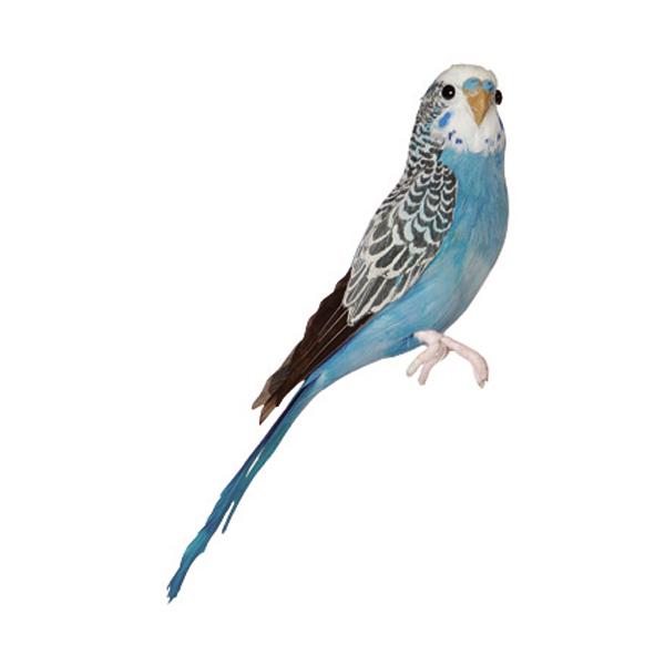 プエブコ バード セキセイインコ ブルー PUEBCO BIRDS budgie blue / おしゃれ｜arenot