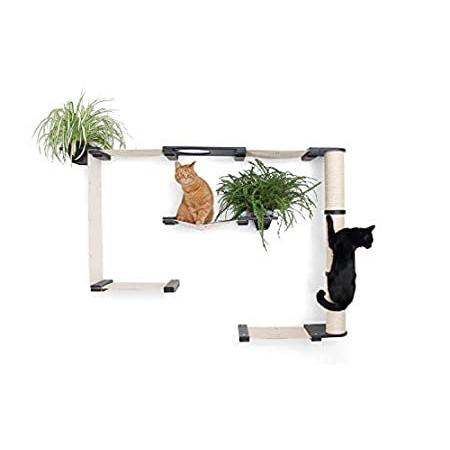 CatastrophiCreations Mini-Garden - Multiple-Level Cat Hammock & Climbing Ac
