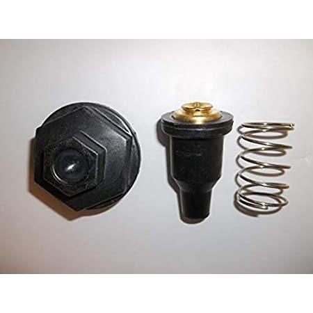 RPS Thermostat & Cover Kit for Johnson Evinrude V4 & V6 Eagle 90, 115, 150,