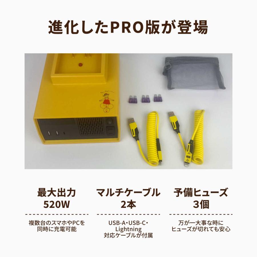 Cancamper（キャンキャンパー） インバーター 電動アシスト自転車用