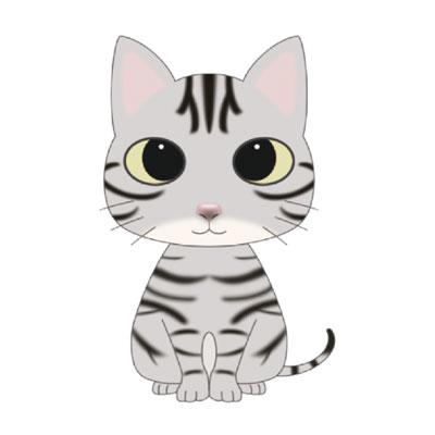 アメリカンショートヘアステッカー 猫 ステッカー シール グッズ Cs Ash01 Argent 通販 Yahoo ショッピング
