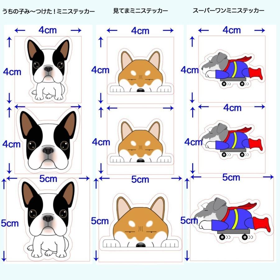 ミニ見てまステッカー 最愛 チワワロングコート チワワ ロングコートチワワ ステッカー 犬 犬ステッカー スマホ 窓 車 ドッグステッカー グッズ 玄関