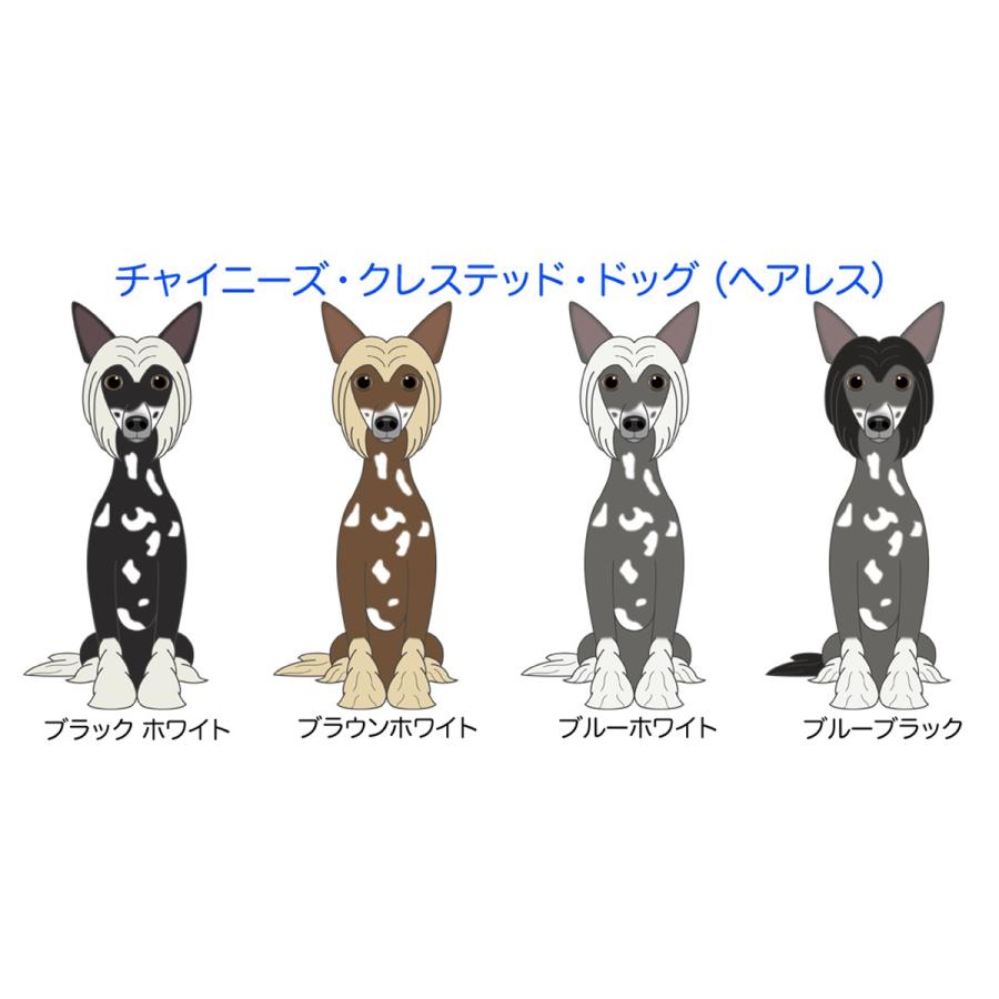 チャイニーズクレステッドドッグ ヘアレス 犬 犬ステッカー 車 窓 玄関 犬種別 名前 ステッカー カーステッカー グッズ ドッグステッカー S Ccdh01 Argent 通販 Yahoo ショッピング