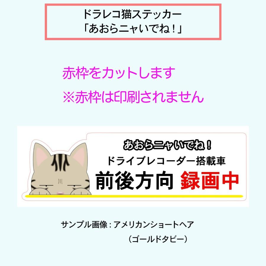 ドラレコ猫ステッカー チンチラペルシャ猫 猫 ステッカー シール ドライブレコーダー 録画 グッズ 迷惑防止 S Crccps01 Argent 通販 Yahoo ショッピング