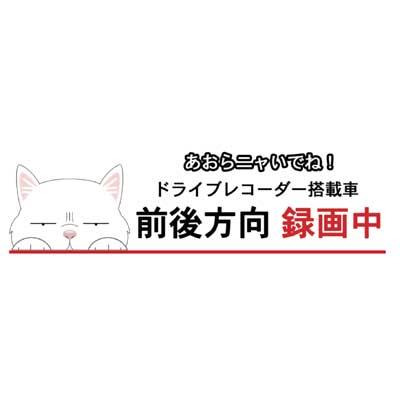 本物 ドラレコ猫ステッカー ペルシャ猫 猫 ステッカー シール ドライブレコーダー 録画 グッズ 迷惑防止 ccps.sn 本物 ドラレコ猫ステッカー ペルシャ猫 猫 ステッカー シール ドライブレコーダー 録画 グッズ 迷惑防止 ccps.sn