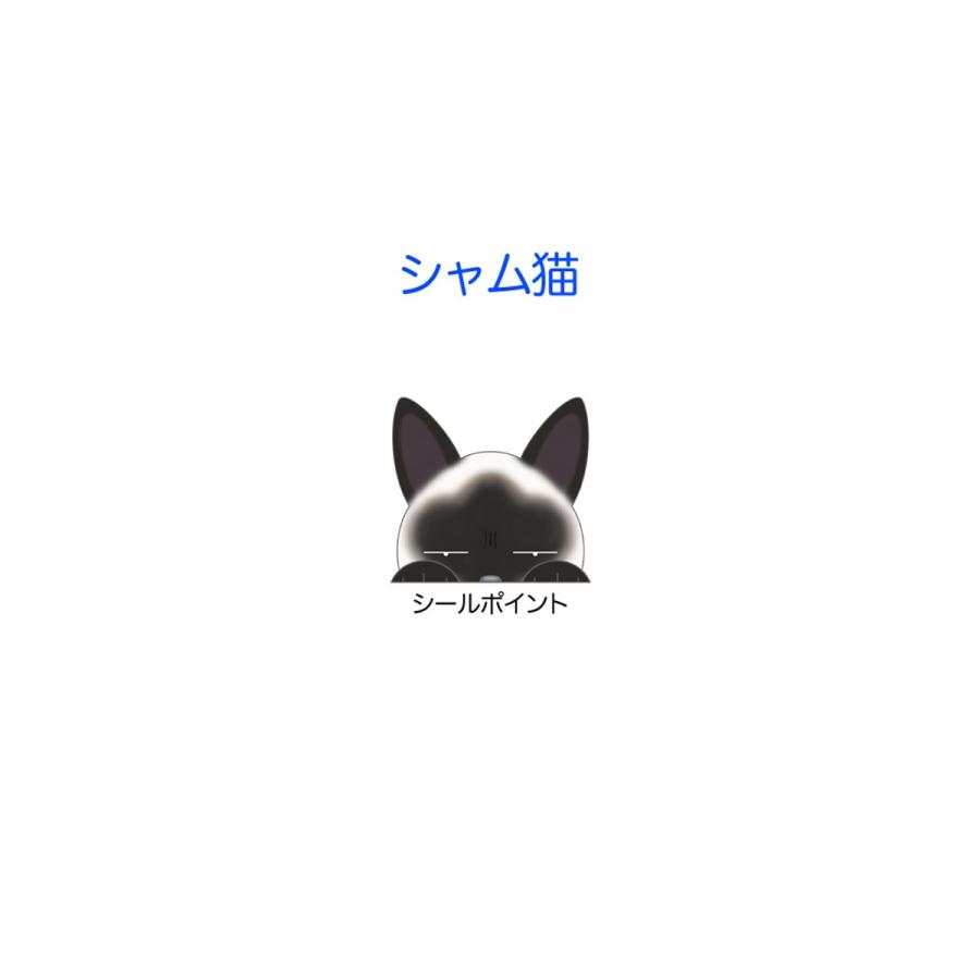 ドラレコ猫ステッカー シャム猫 猫 ステッカー シール ドライブレコーダー 録画 グッズ 迷惑防止 S Csim01 Argent 通販 Yahoo ショッピング