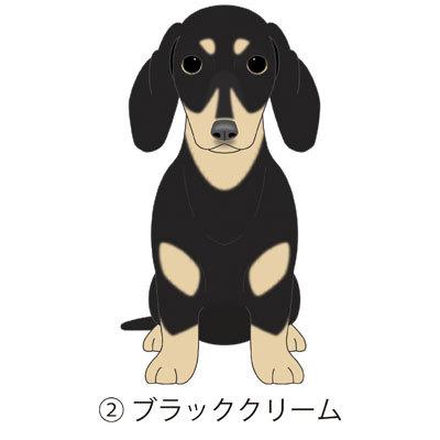 ダックスフンド スムースヘアード ダックススムース 犬 犬ステッカー 車 窓 玄関 犬種別 名前 ステッカー ドッグステッカー グッズ カーステッカー S Dhs01 Argent 通販 Yahoo ショッピング
