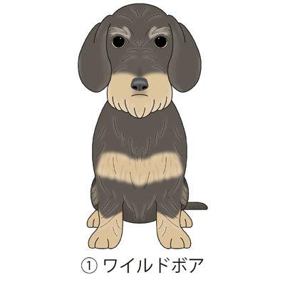 ダックスフンド ワイヤーダックス ダックスワイヤー 犬 ステッカー 車 犬ステッカー 窓 玄関 犬種別 オーダー 名入り ドッグステッカ グッズ カーステッカー S Dhw01 Argent 通販 Yahoo ショッピング