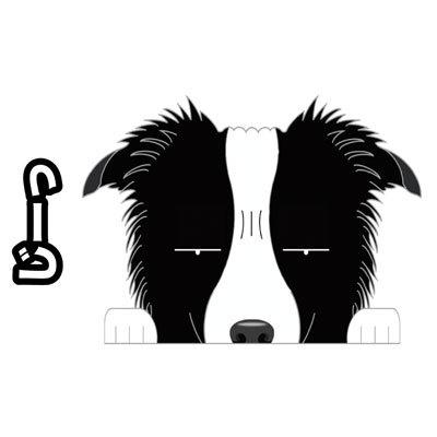 見てまステッカー ボーダーコリー たれ耳 犬 ステッカー 車 犬ステッカー 窓 玄関 犬種別 名入れ ビッグサイズ グッズ ドッグ シール カー ステッカー S Mbcd01 Argent 通販 Yahoo ショッピング