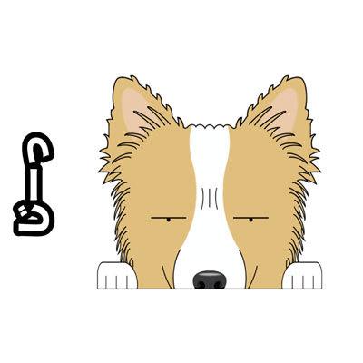 見てまステッカー ボーダーコリー 立ち耳 犬 ステッカー 車 日本全国送料無料 ランキング2022 犬ステッカー 窓 玄関 カーステッカー グッズ 犬種別 ドッグ シール ビッグサイズ 名入れ