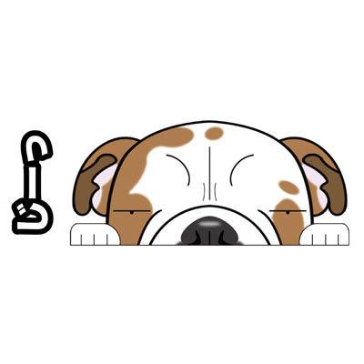 見てまステッカー ブルドッグ 英ブル 犬 ステッカー 車 犬ステッカー 窓 玄関 犬種別 名入れ ビッグサイズ グッズ ドッグ シール カーステッカー 最大71 オフ