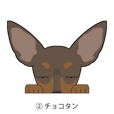 見てまステッカー ミニチュアピンシャー ミニピン 立ち耳 犬 ステッカー 車 犬ステッカー 窓 玄関 犬種別 名入れ ビッグサイズ グッズ カーステッカー S Mmpu01 Argent 通販 Yahoo ショッピング