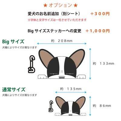 見てまステッカー ミニチュアシュナウザー シュナウザー 立ち耳 犬 ステッカー 車 犬ステッカー 窓 玄関 犬種別 名入れ ビッグサイズ グッズ カーステッカー S Mmsuf01 Argent 通販 Yahoo ショッピング