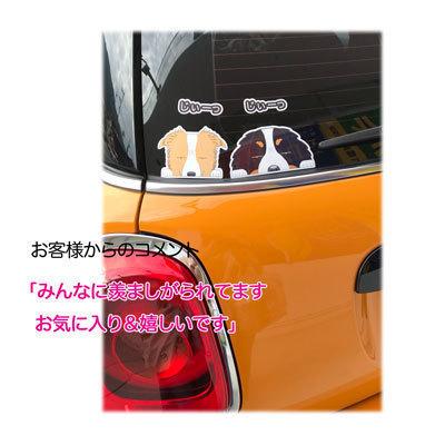 見てまステッカー シーズー 犬 ステッカー 車 ステッカー 窓 玄関 犬種別 名入れ ビッグサイズ グッズ ドッグ シール カーステッカー S Mst01 Argent 通販 Yahoo ショッピング