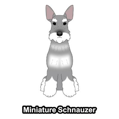 ミニチュアシュナウザー シュナウザー立ち耳 犬 犬ステッカー 車 窓 玄関 犬種別 名前 ステッカー ドッグステッカー グッズ カーステッカー S Msu01 Argent 通販 Yahoo ショッピング