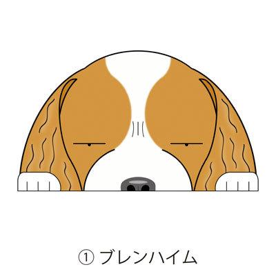 ドライブレコーダーステッカー キャバリアキングチャールズスパニエル キャバリア 犬 犬ステッカー ドラレコ録画中 ドラrec 車 カーステッカー ドッグ ステッカー S R Ckcs01 Argent 通販 Yahoo ショッピング