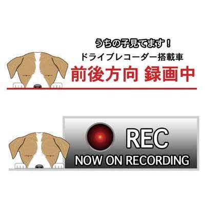 メーカー直送 ドライブレコーダー ステッカー 犬 ジャックラッセルテリア ブロークン 犬ステッカー ドラレコ 録画中 ドラrec 車 グッズ カーステッカー 車載 録画 Cisama Sc Gov Br