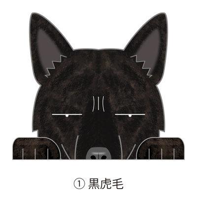 ドライブレコーダーステッカー 甲斐犬 犬 犬ステッカー ドラレコ録画中 ドラrec 選べる ドライブレコーダー 車 カーステッカー ドッグステッカー グッズ S R Kak01 Argent 通販 Yahoo ショッピング