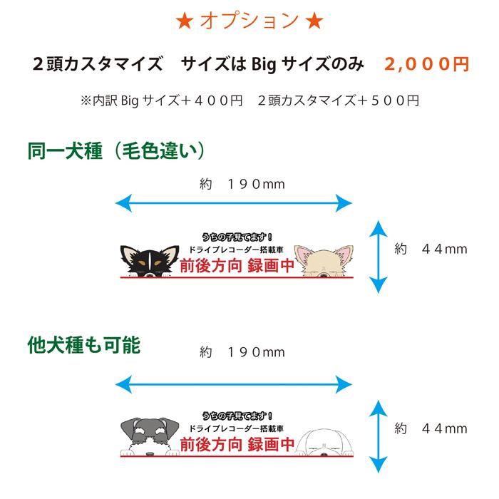 税込 ドライブレコーダー ステッカー 犬 マルチーズ 犬ステッカー ドラレコ 録画中 ドラrec 車 グッズ カーステッカー 車載 録画 Babylonrooftop Com Au