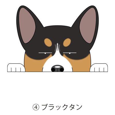 ドライブレコーダー ステッカー 犬 コーギー ウェルシュコーギーペンブローク 犬ステッカー ドラレコ 録画中 ドラrec 車 グッズ カーステッカー 車載 録画 S R Wcp01 Argent 通販 Yahoo ショッピング