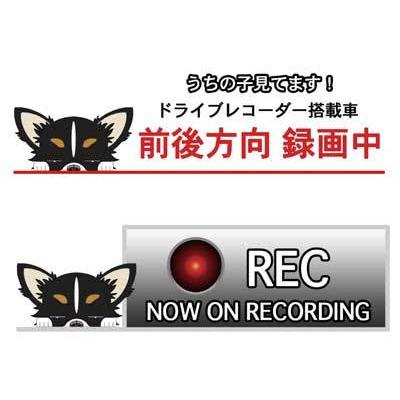 ドライブレコーダー犬ステッカー チワワ チワワロング ロングコートチワワ 犬 犬ステッカー ドラレコ録画中 ドラrec 選べる 車 カーステッカー ドッグステッカー S Rchl01 Argent 通販 Yahoo ショッピング